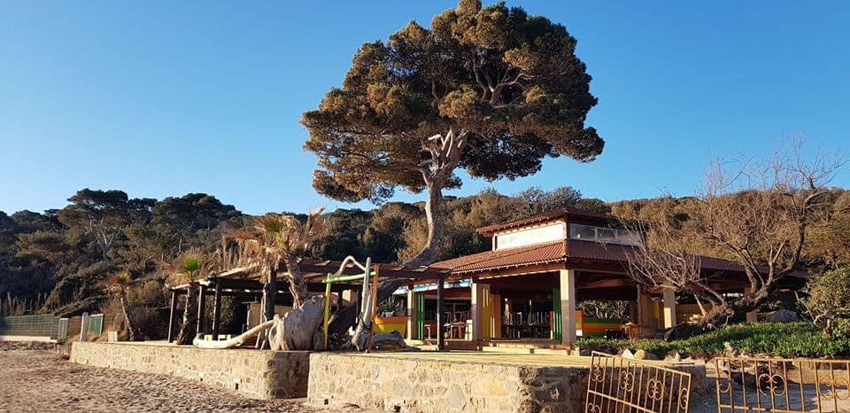 Le Carbet — photo 2