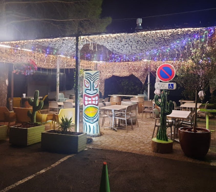King cactus café — photo 3