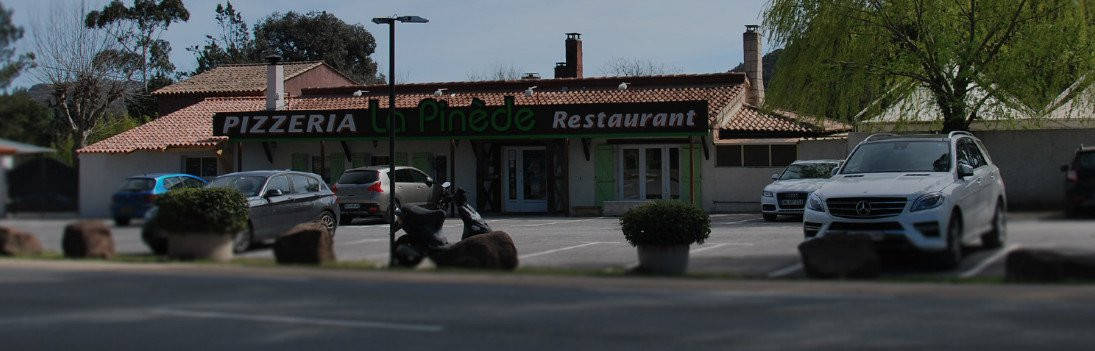 La pinede — photo 3