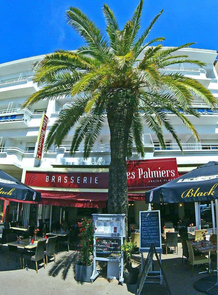 Les Palmiers — photo 2