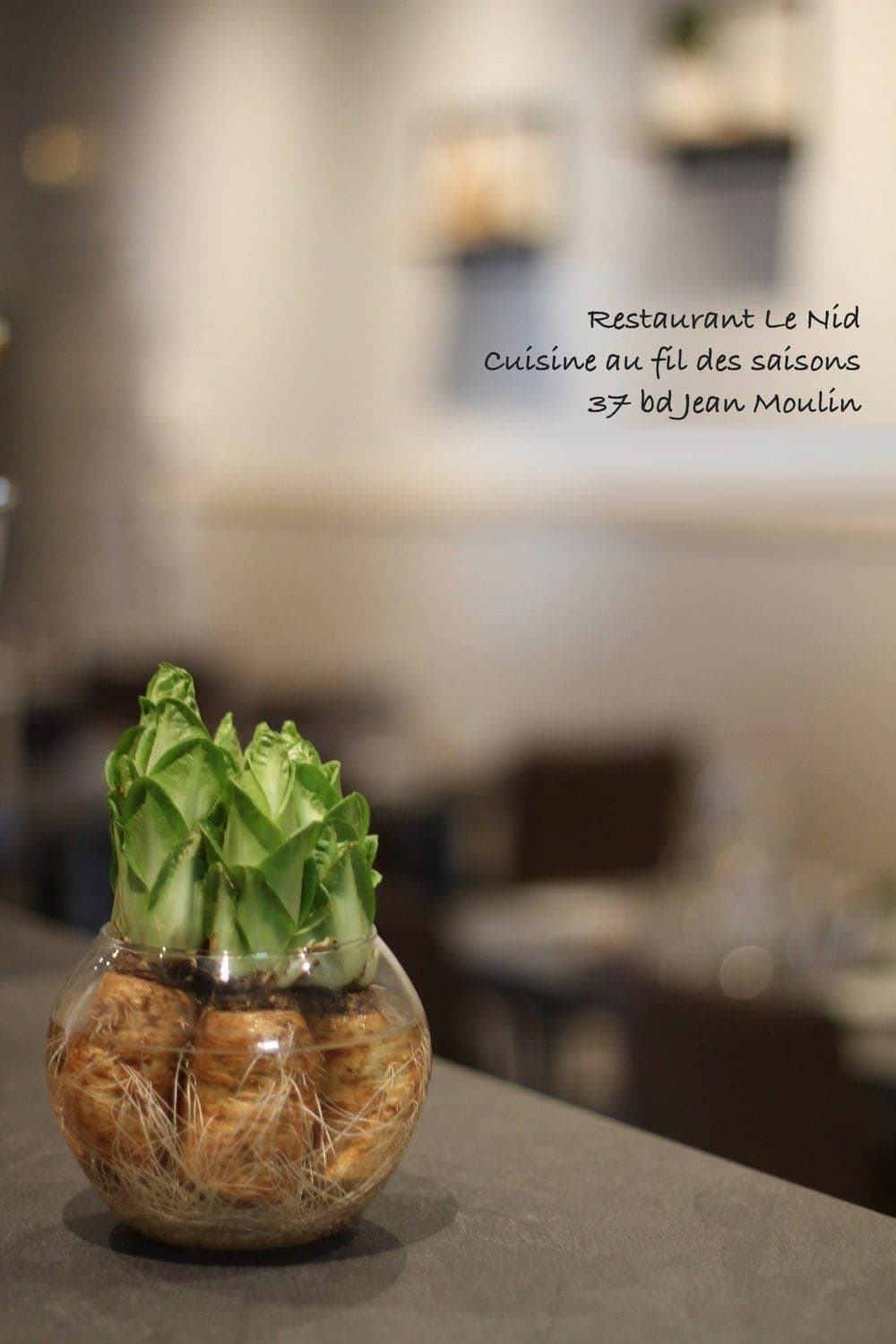 Restaurant Le Nid, — photo 4