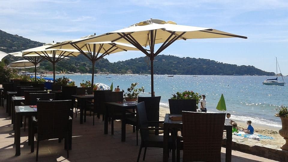 Cavalière Sur Plage — photo 3