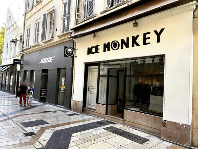 Ice Monkey — photo 2