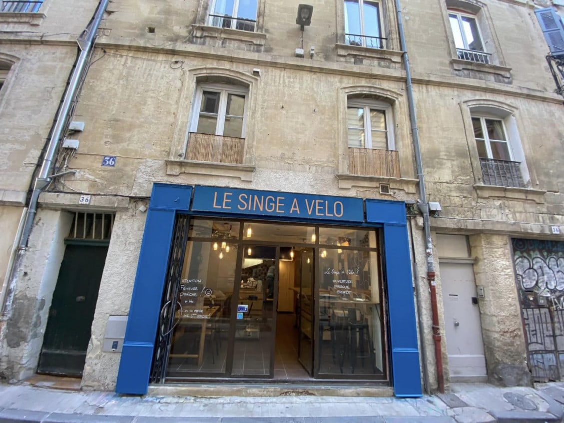 Le singe à vélo — photo 2