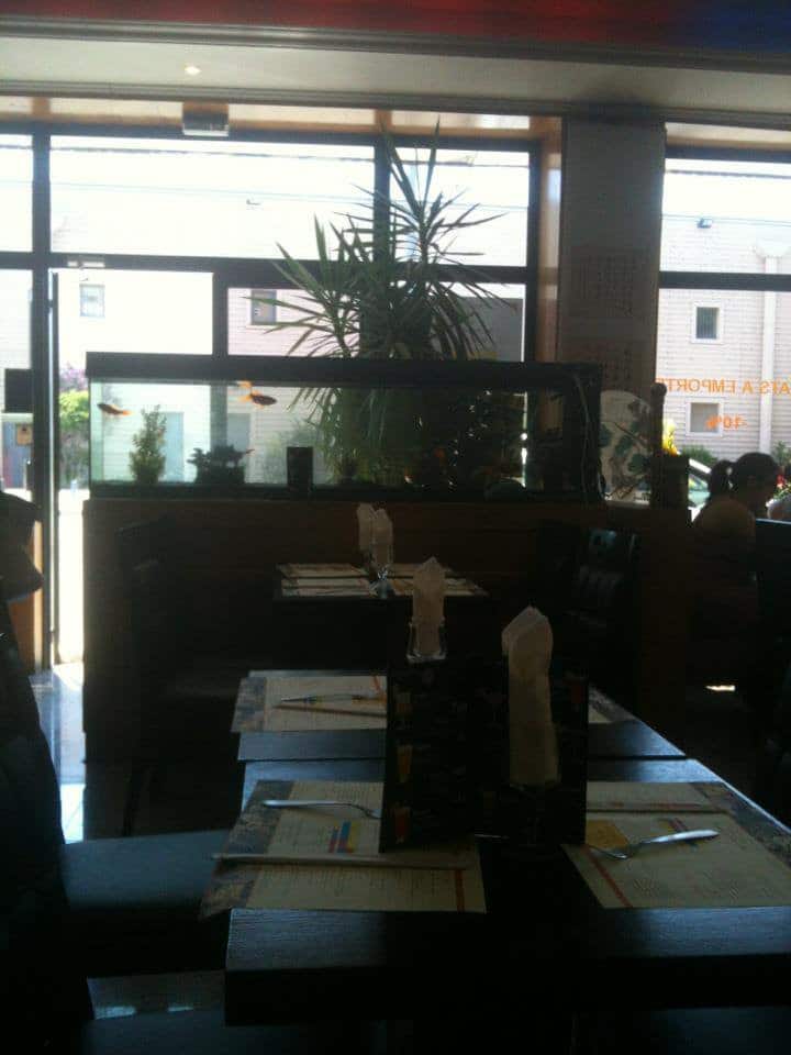 Little Italy — photo 2