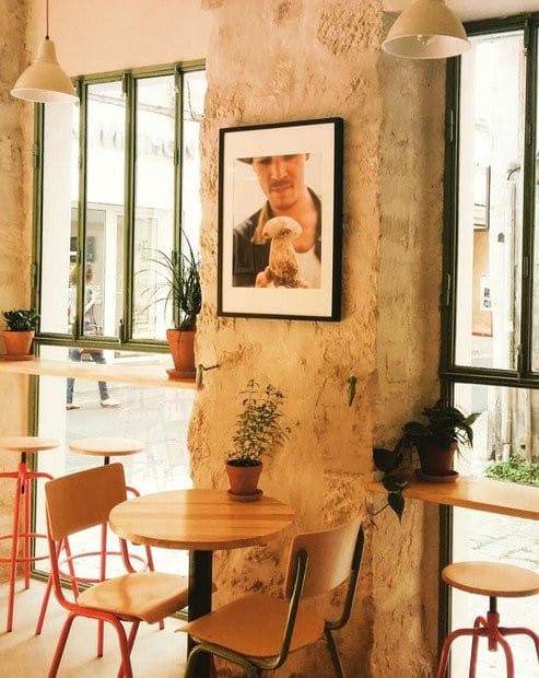 Vivotto — photo 3