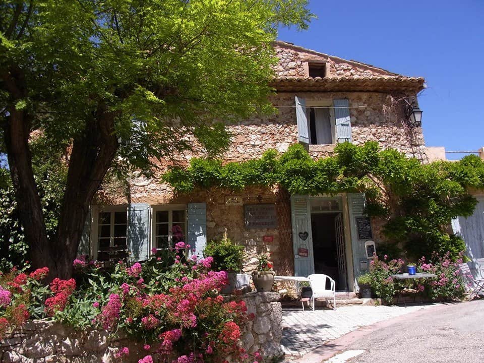 Acacia en Provence — photo 2
