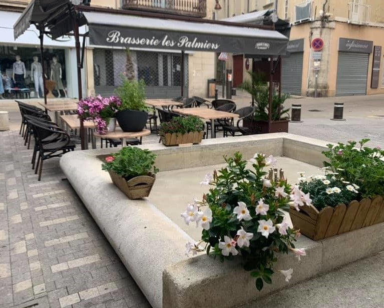 Brasserie Les Palmiers — photo 2