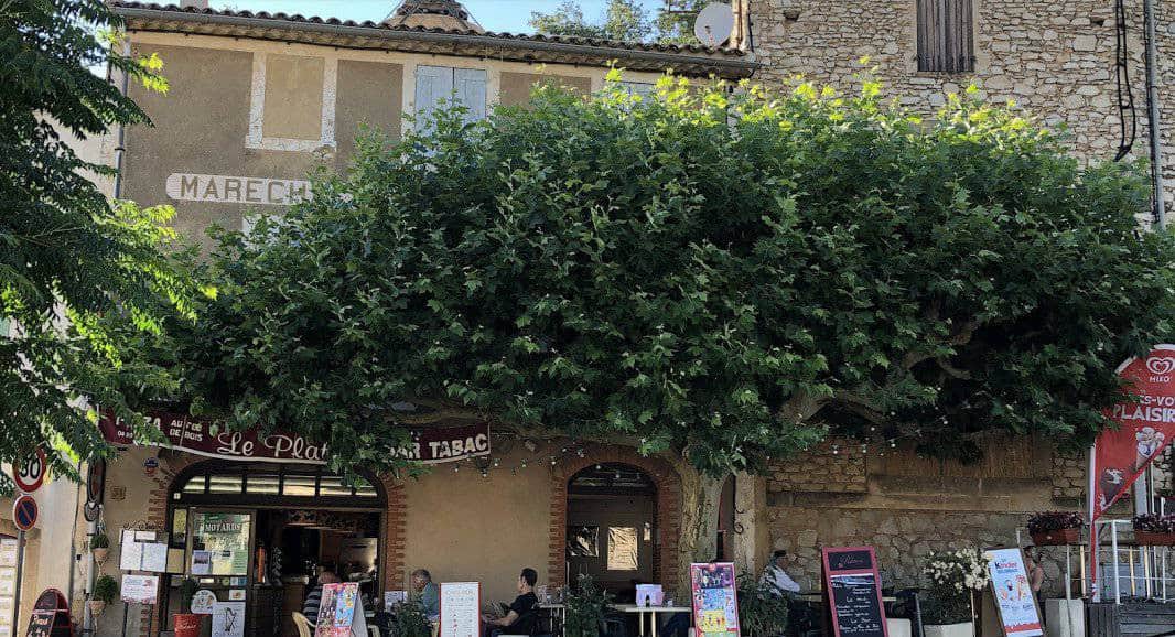 Le Platane — photo 3