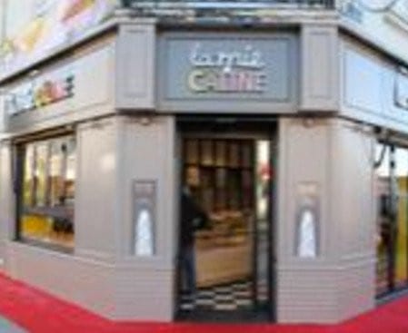 La mie câline — photo 2