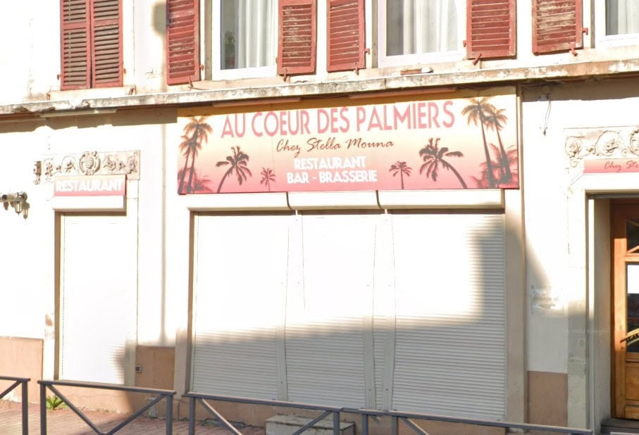 Au cœurs des Palmiers — photo 3