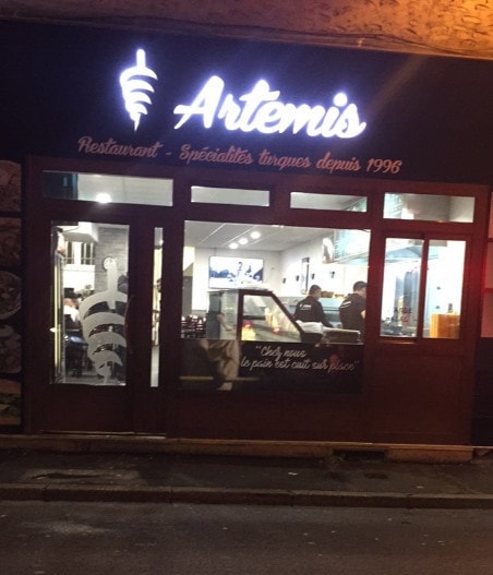 Artemis — photo 3