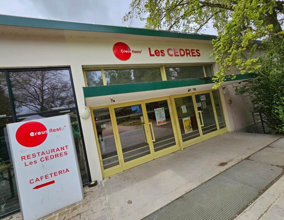 Les Cèdres — photo 3