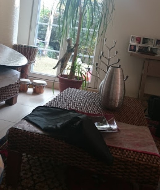 La Petite Panela — photo 2