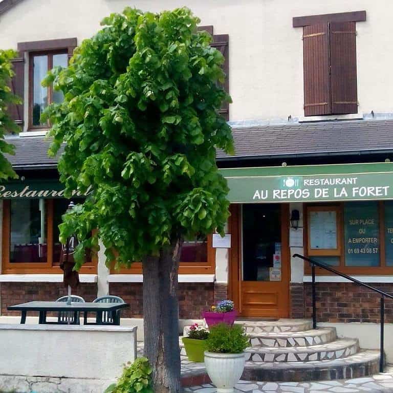 Au repos de la Forêt — photo 2