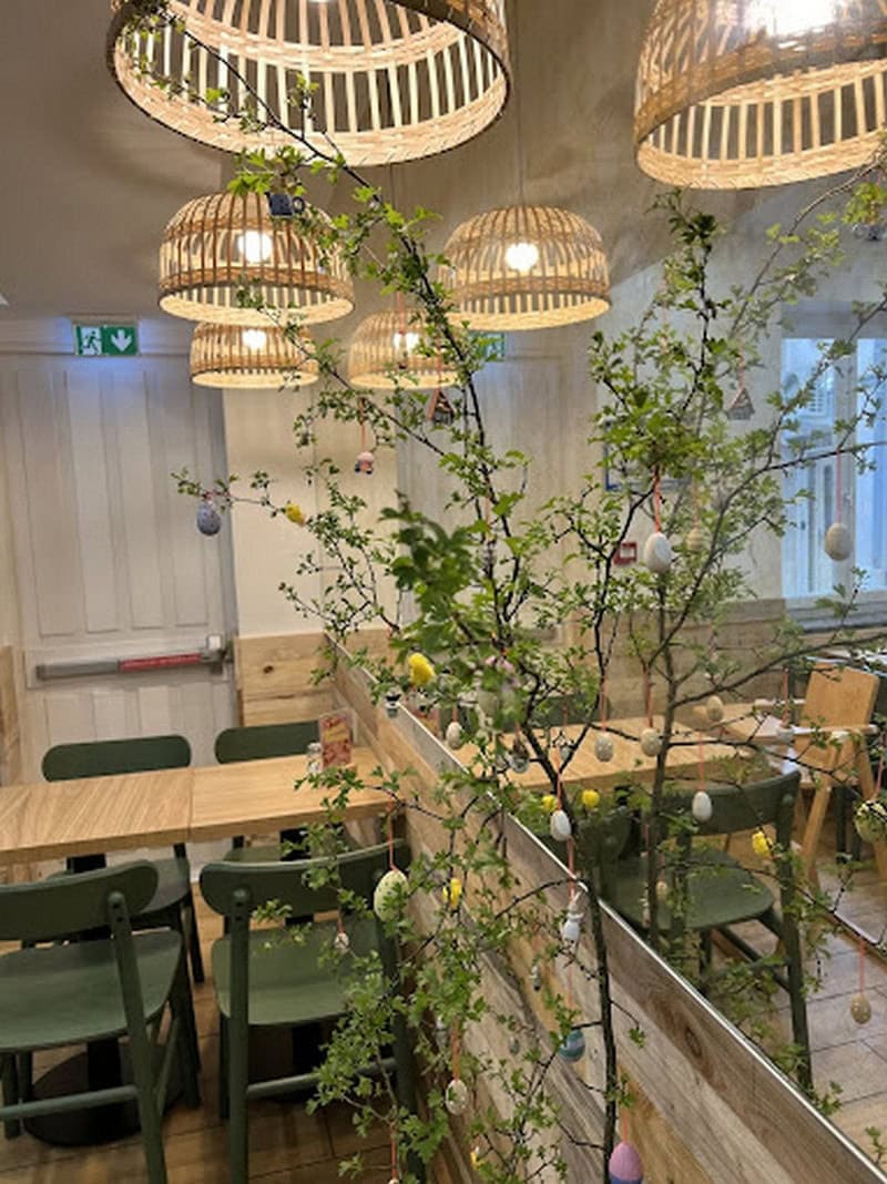 Bioburger — photo 3