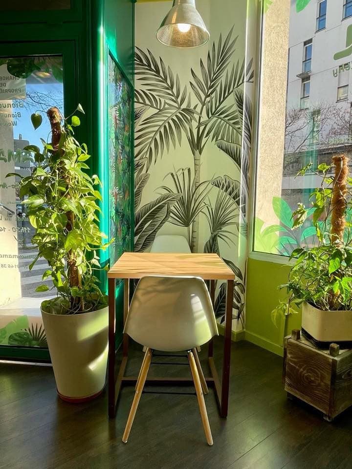 Mamasol — photo 3