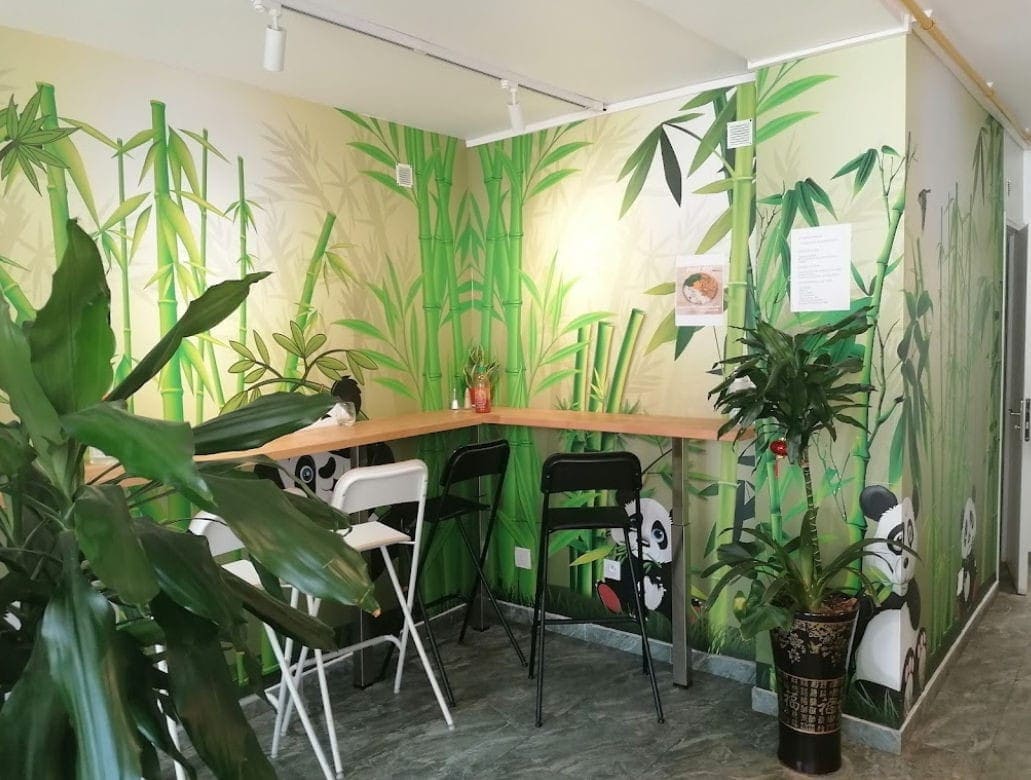 Le panda — photo 3