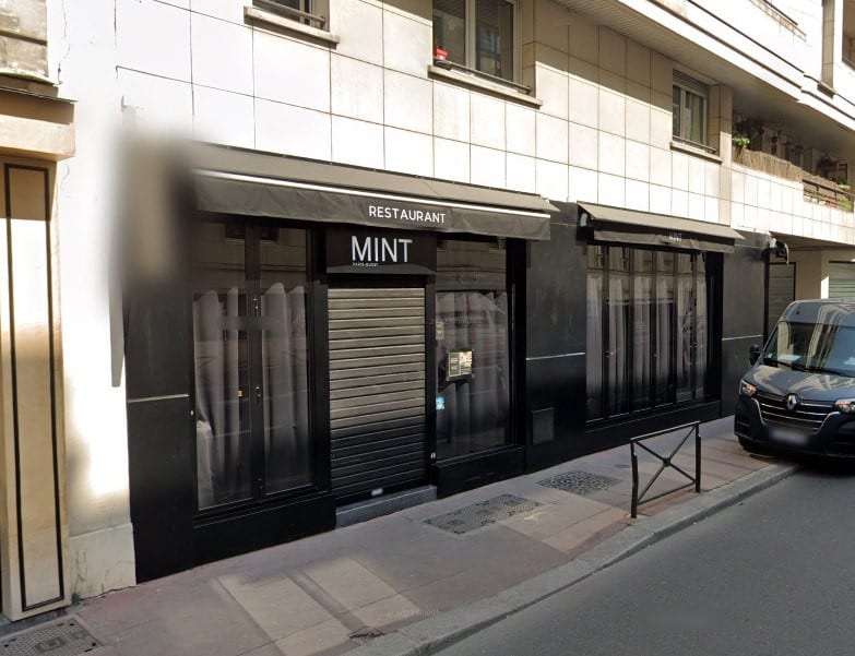 Mint — photo 3
