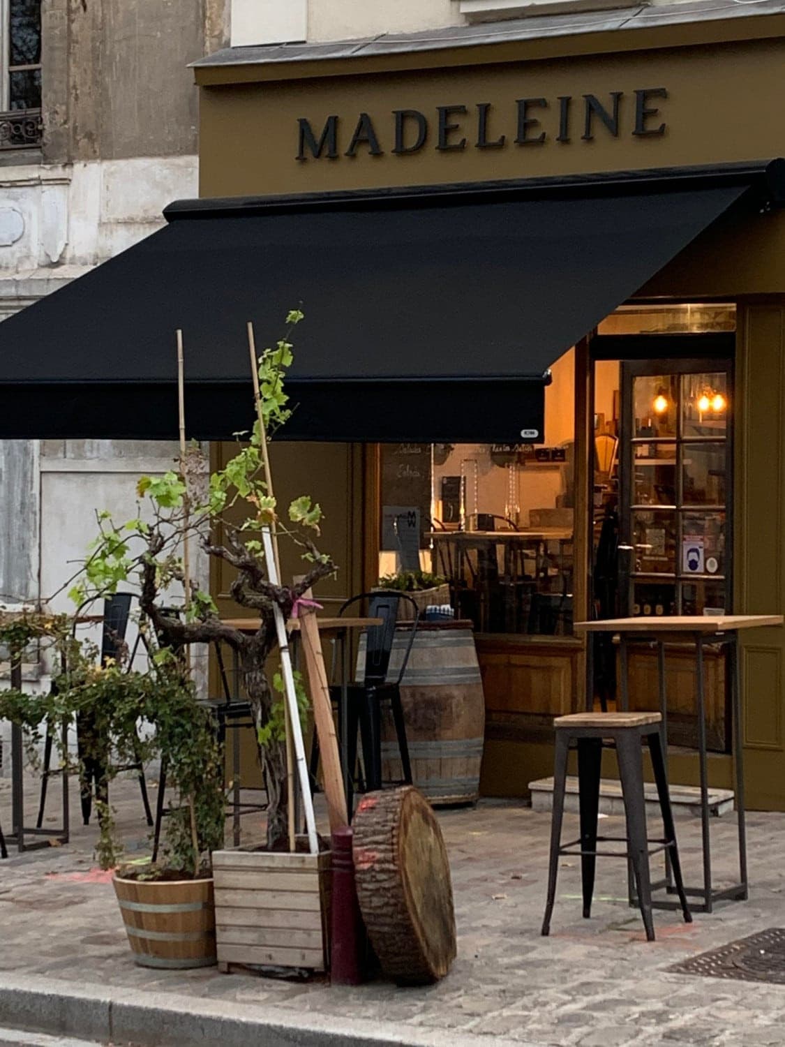 Madeleine — photo 3