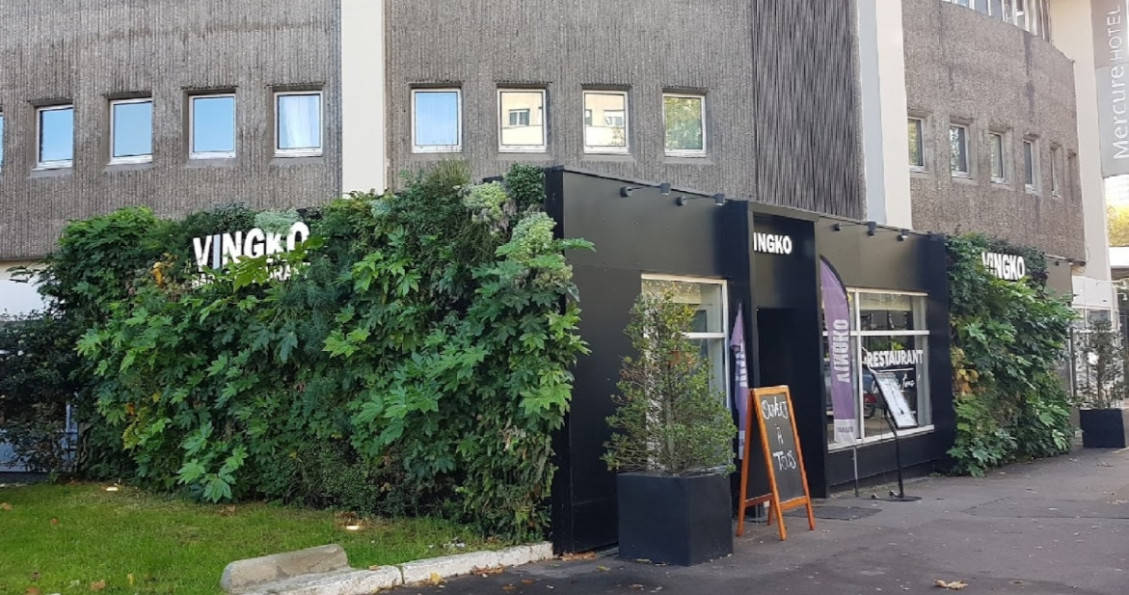 Vingko — photo 2