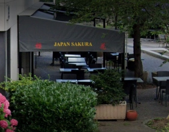 Japan sakura — photo 3