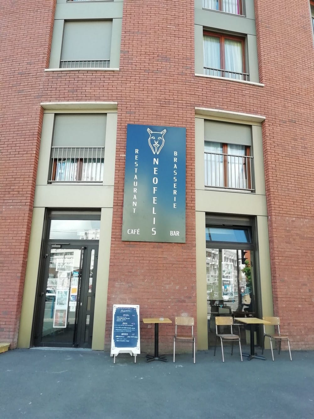 Neofelis — photo 3