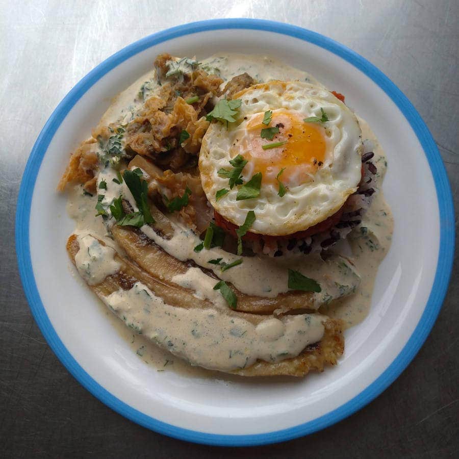 Ciboulette — photo 3