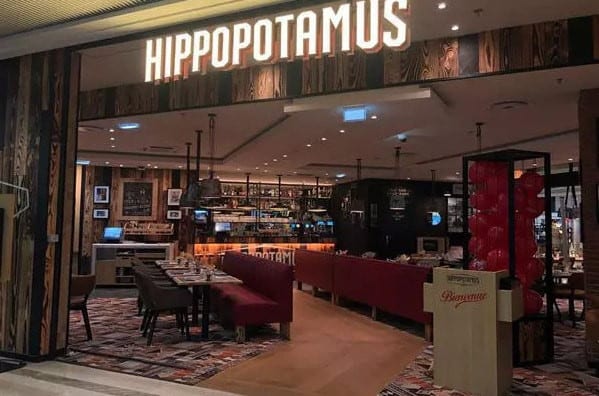 Hippopotamus — photo 2