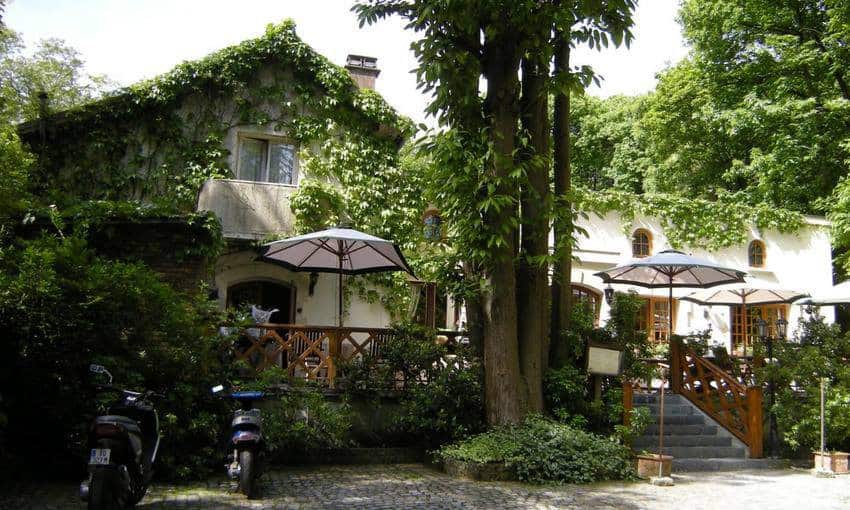 Au Cœur de la Forêt — photo 2