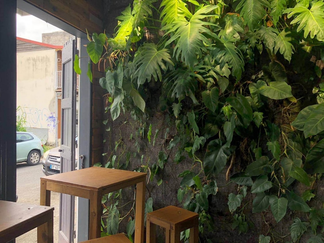 Pitacos — photo 3