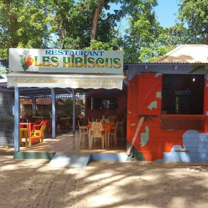 Les Hibiscus — photo 3