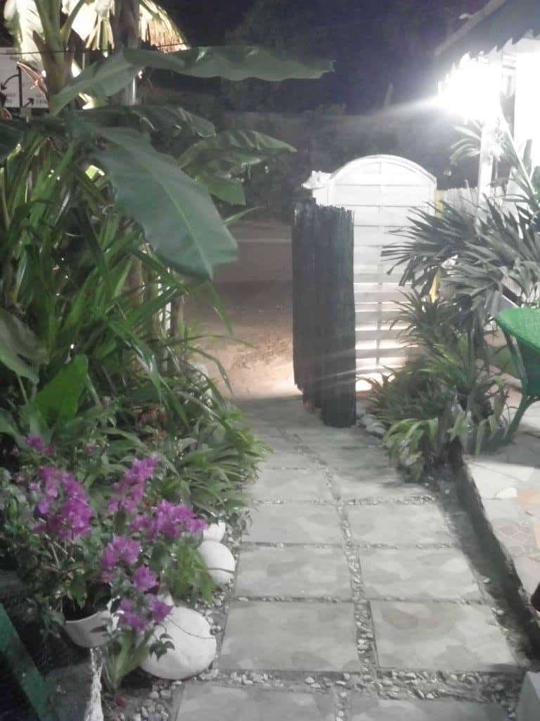 Exotic — photo 3