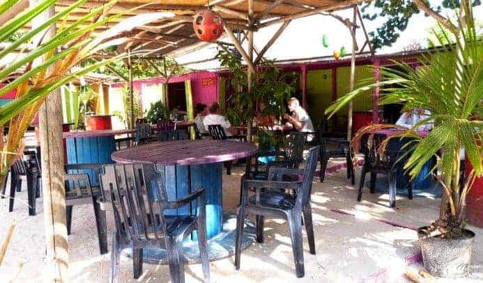 Bwa Galba — photo 2