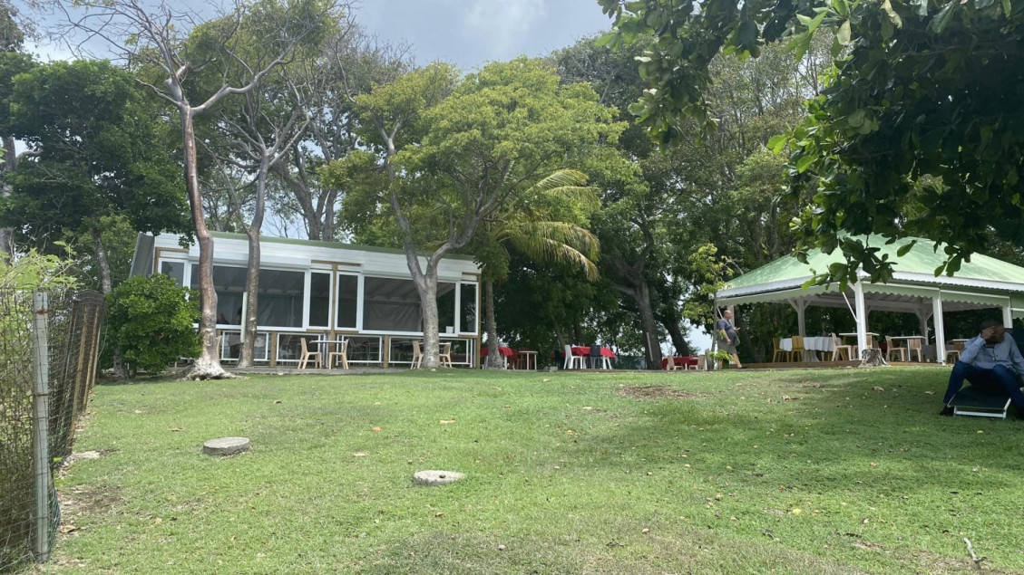 A Ka Diaz — photo 3