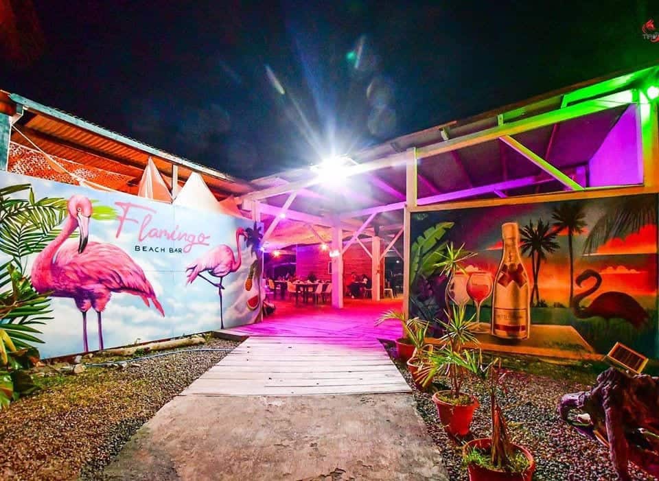Flamingo — photo 3