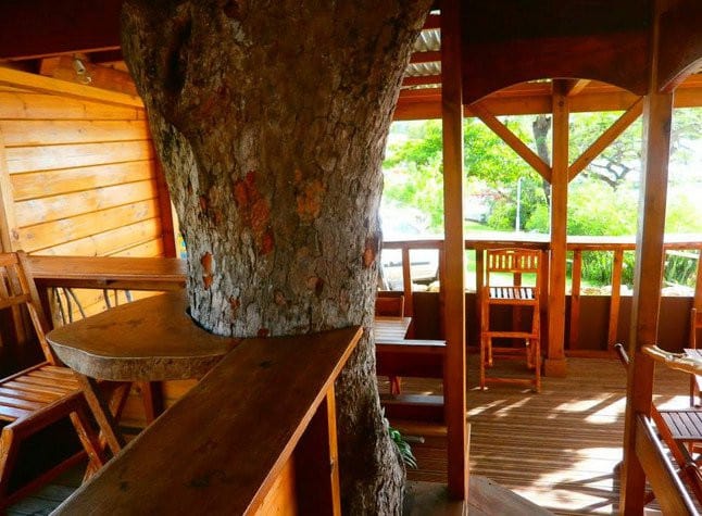 Otantik - Ti resto nature — photo 3