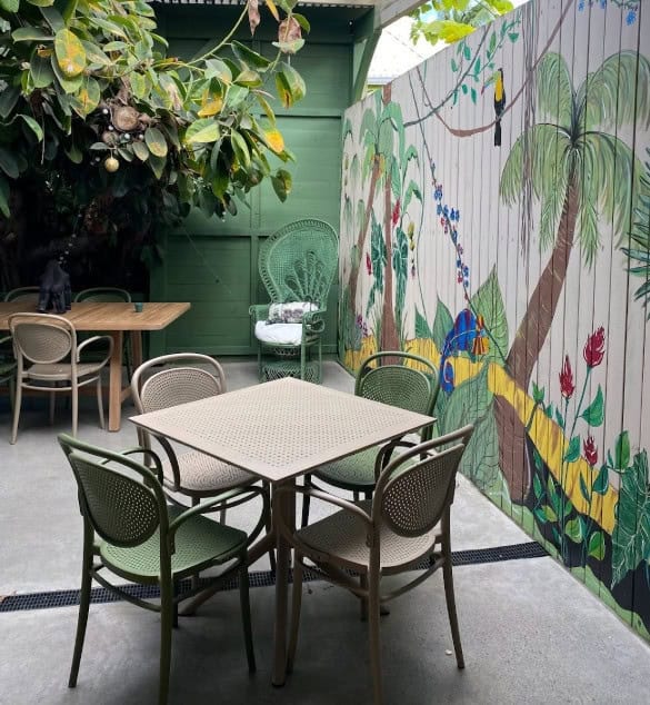 Jungle — photo 3