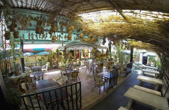 Il Giardino d'Italia — photo 2