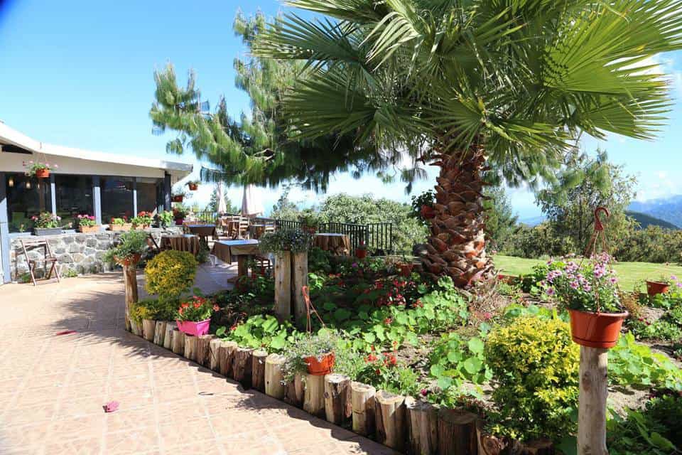 Le Jardin Rosat — photo 2