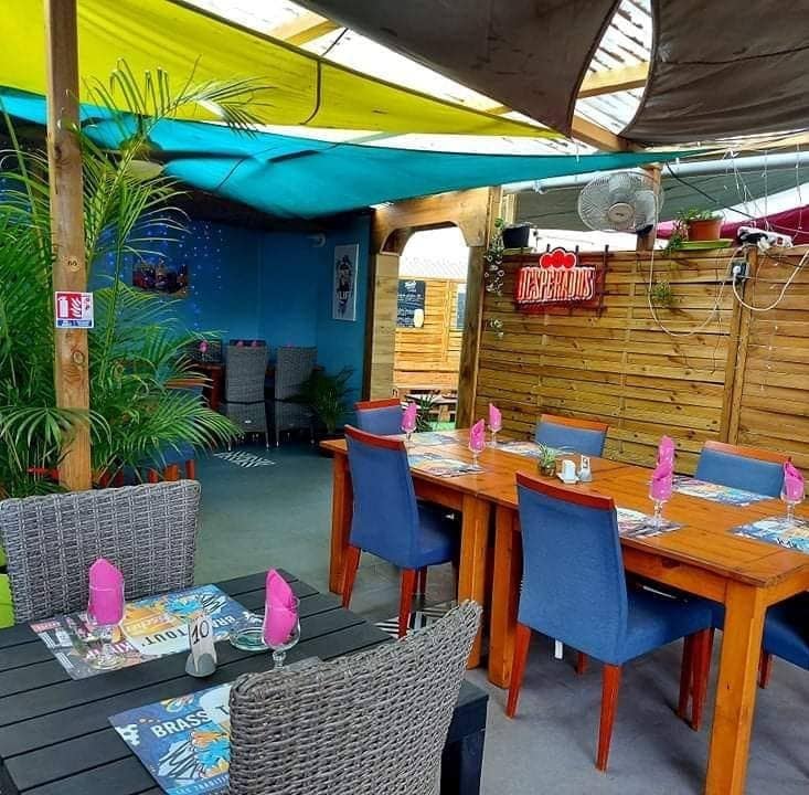 Le vieux Badamier — photo 3