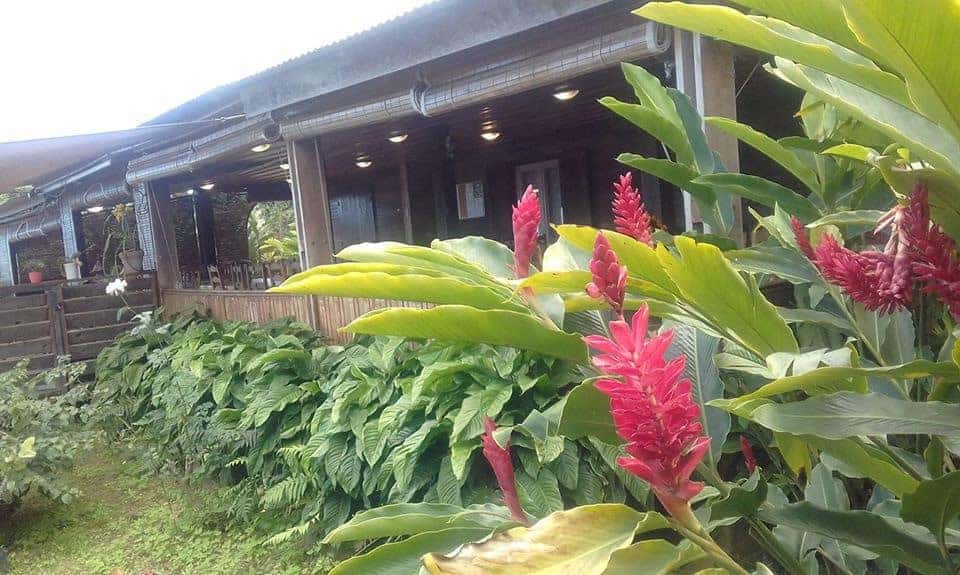 Les Mille Fleurs — photo 2