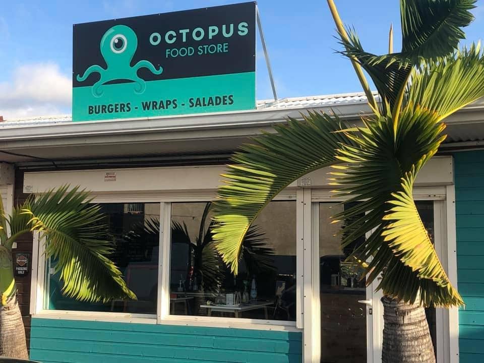 Octopus — photo 3