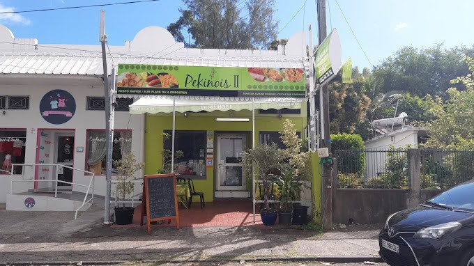 Pékinois — photo 3