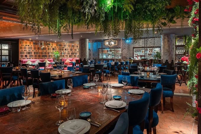 Coya — photo 2