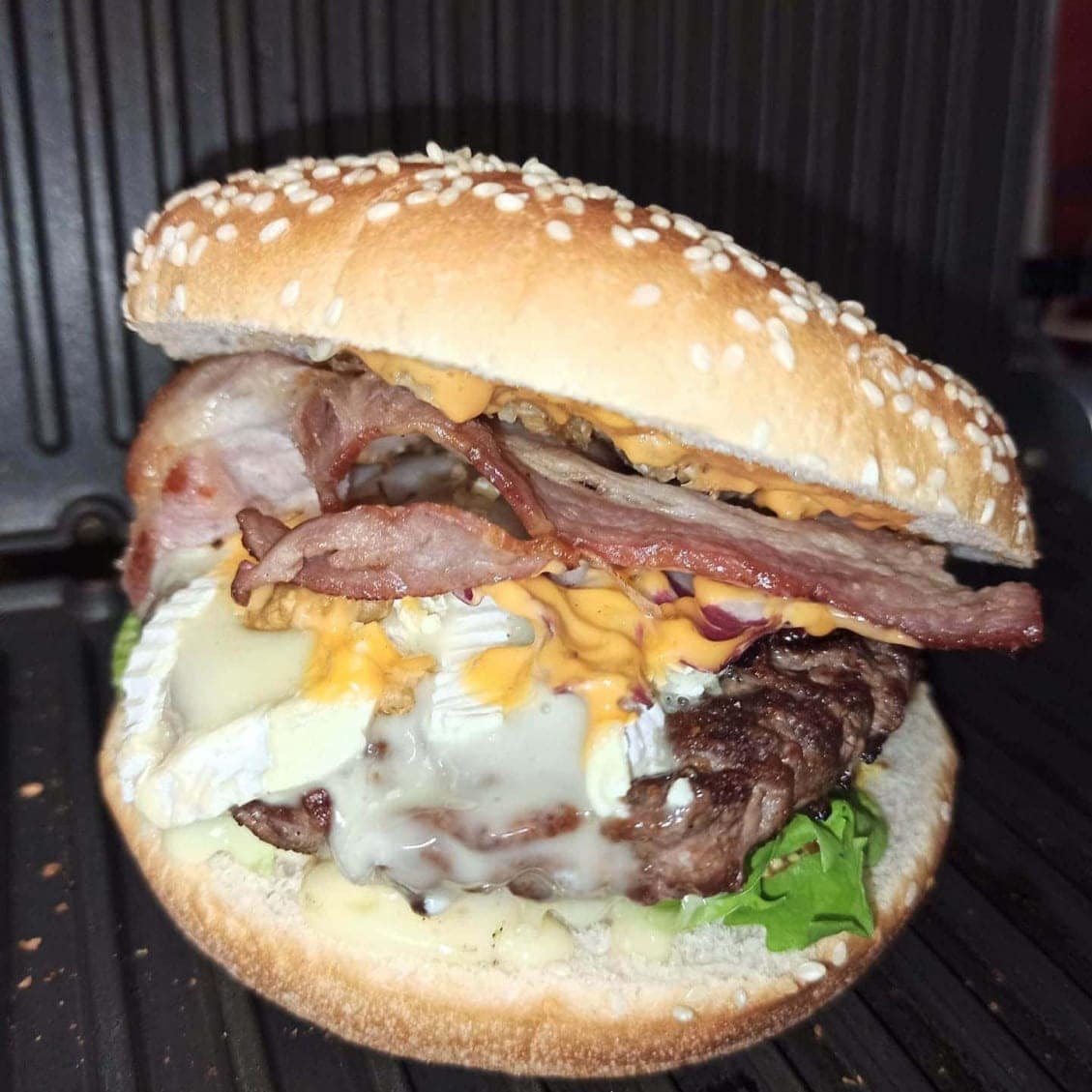 Photo de Guppy's food