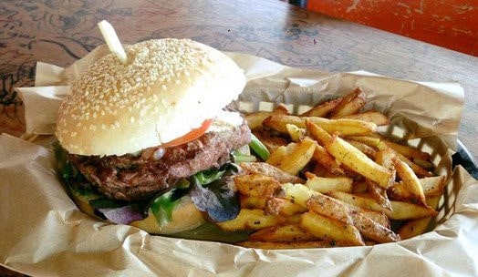 Professeur Burger — photo 3
