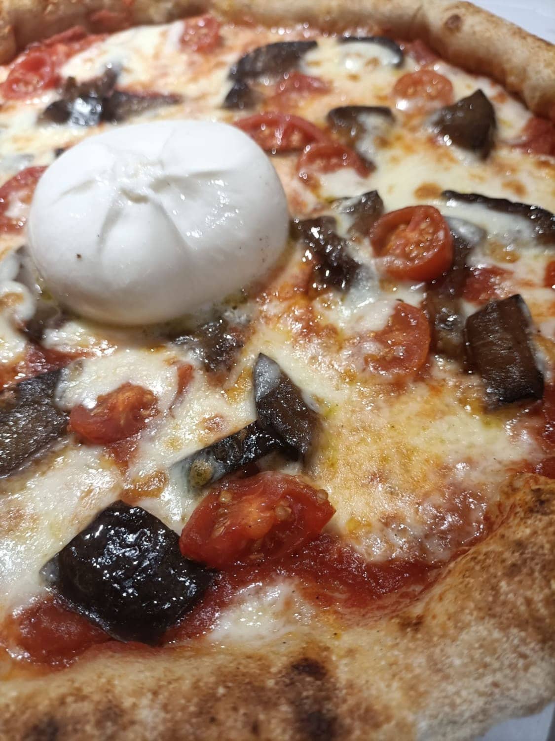 Will Pizz — photo 2