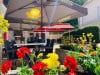 Hôtel du Centre - la terrasse