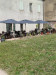 Le Trivicour'tin - La terrasse